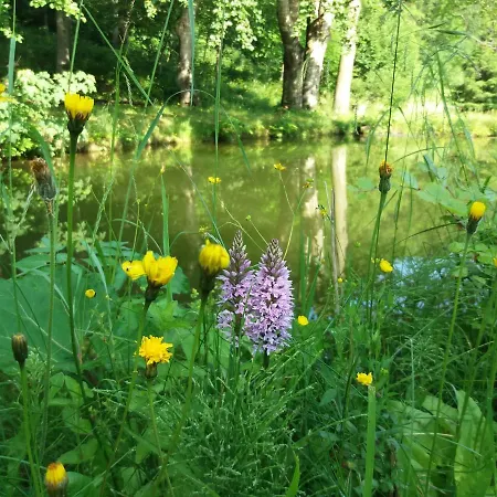 Zbojnicki Ostep Stronie Śląskie