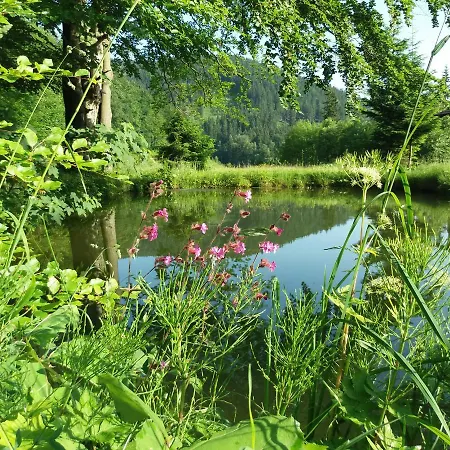 Zbojnicki Ostep Vakantieboerderij Stronie Śląskie
