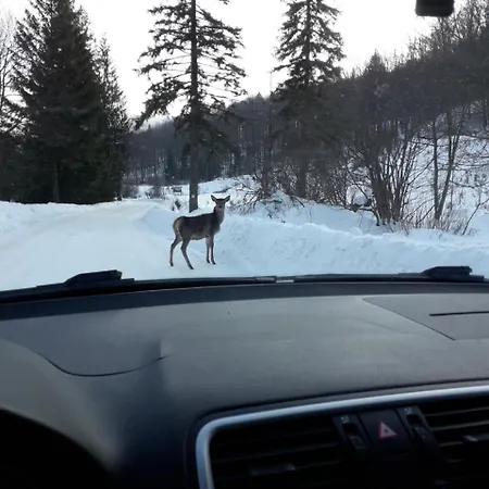 Zbojnicki Ostep * Stronie Śląskie