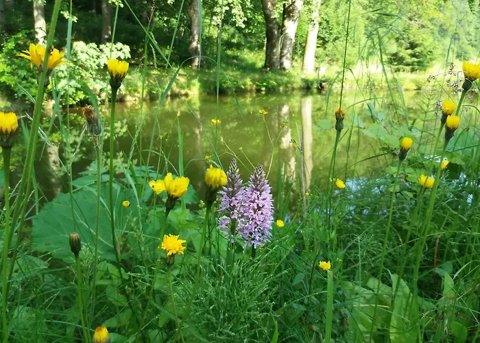 Zbojnicki Ostep Stronie Śląskie