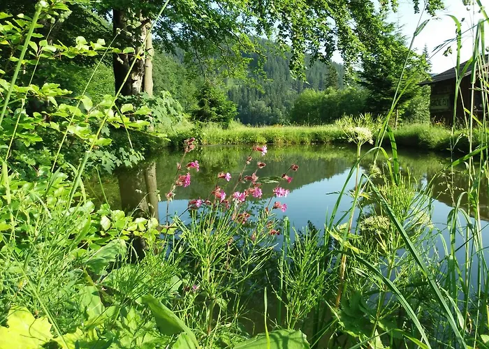 Zbójnicki Ostęp Gospodarstwo agroturystyczne Stronie Śląskie